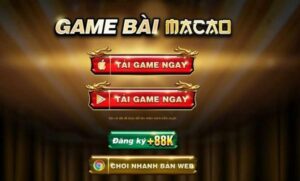 Khám Phá Cơ Hội Tài Chính Tuyệt Vời Với casino bongvip - Nơi Thông Minh Tạo Nên Sự Thành Công